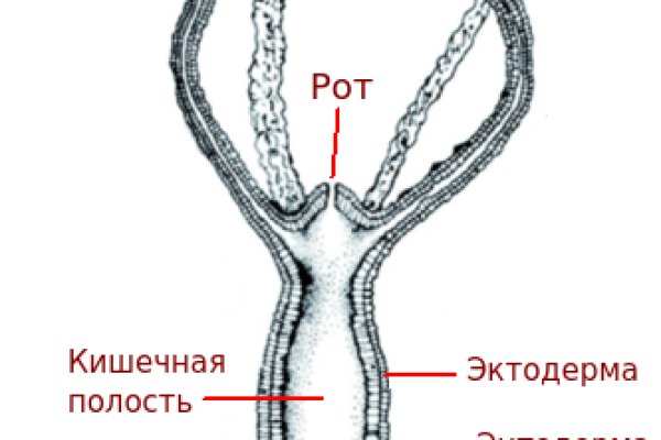 Площадка кракен kraken clear com