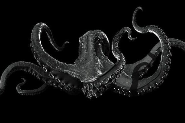 Кракен даркнет store kraken dark link